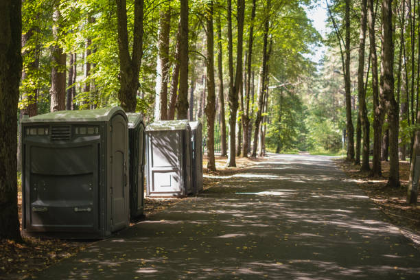 Best Sanitation services for porta potties  in Leadville North, CO